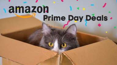 Prime Day Deals Blog Banner