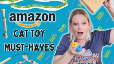 The Best Cat Toys – Toys Your Cats Will Love