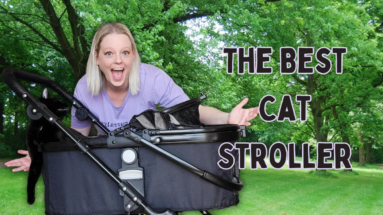 The Best Cat Stroller