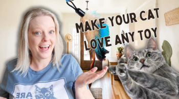 How To Make Your Cat Love Their Toys Again