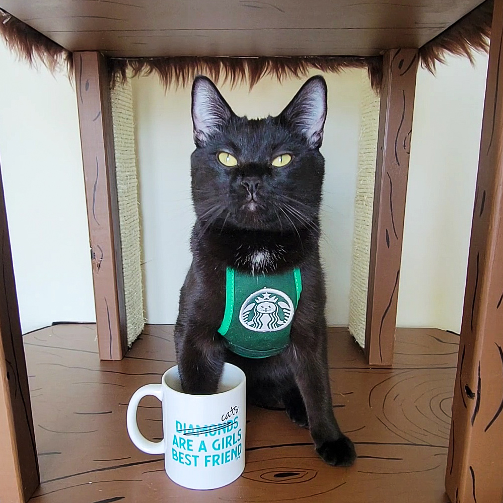 DIY Cat Tree: Transforming An Old Table Into A Feline Paradise