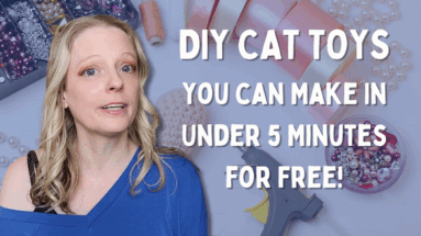 3 Easy DIY Cat Toys You Can Make With Stuff You Already Have at Home