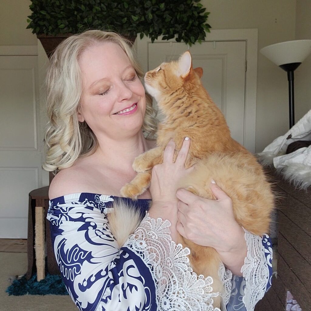 Fluffy orange cat kissing human