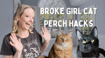 DIY Cat Window Perches