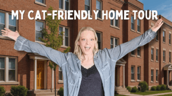 My Cat-Friendly Home Tour Blog Header