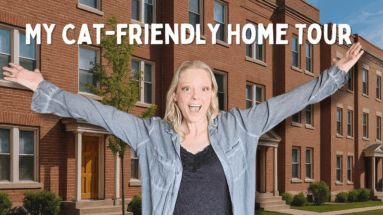 My Cat-Friendly Home Tour Blog Header