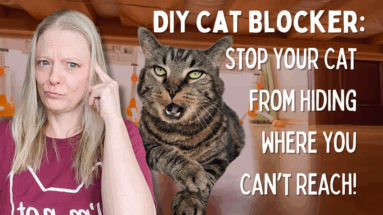 DIY Under Bed Cat Blocker