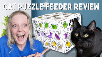 cat amazing puzzle feeder review