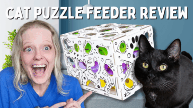 cat amazing puzzle feeder review