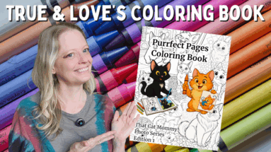 cat coloring book