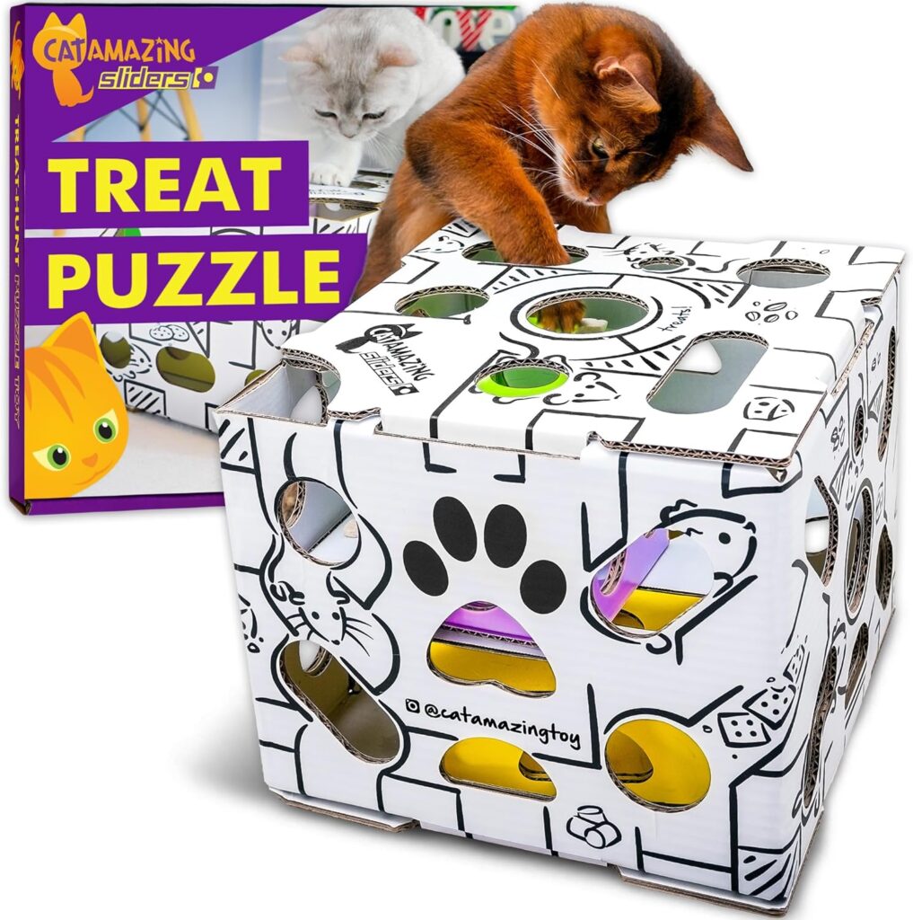 cat amazing puzzle feeder review 1